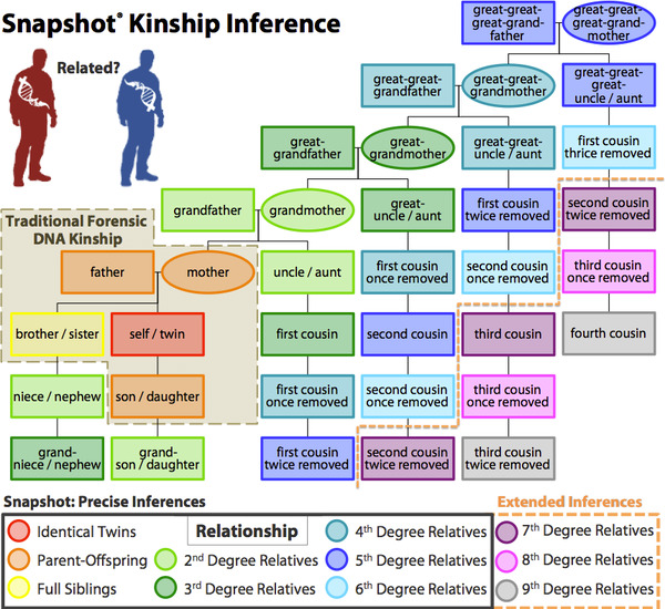 A diagram showing the range of Snapshot kinship inference compared to traditional forensic DNA kinship methods