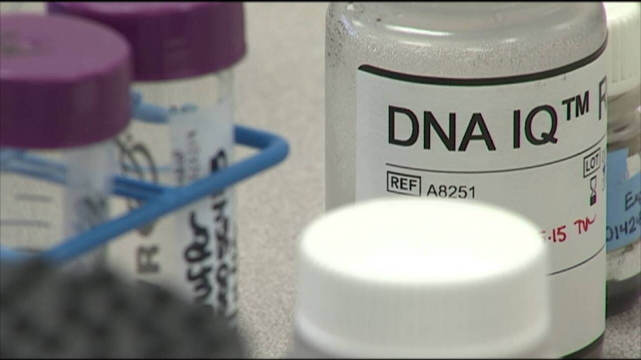 [IMAGE] DNA helps Florida investigators ID victim 41 years later