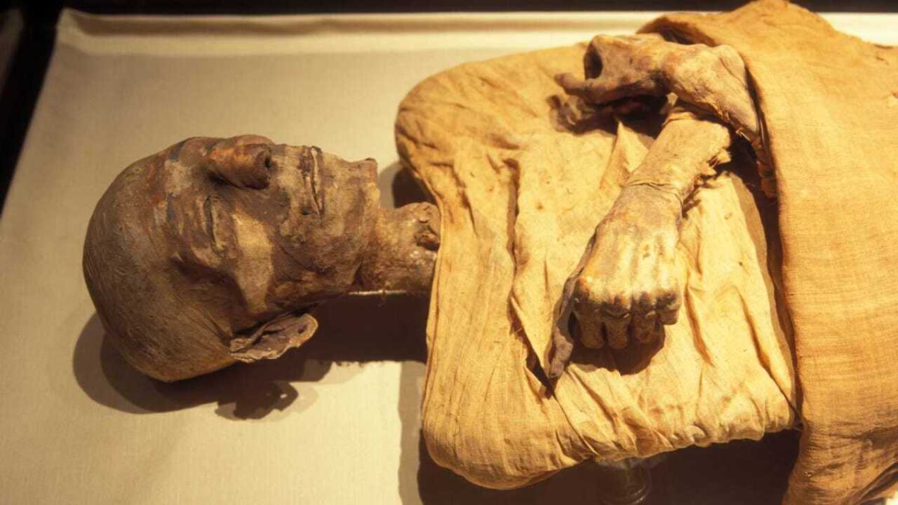 [IMAGE] If mummies had faces: Scientists use DNA to see how three ancient ...