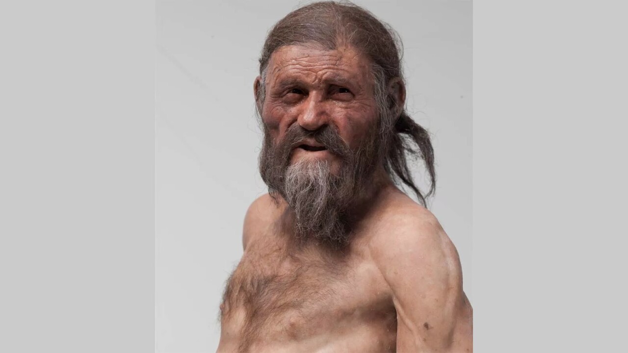 [IMAGE] 40 amazing facial reconstructions, from Stone Age shamans to King ...