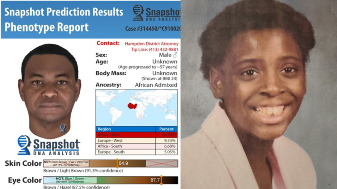 [IMAGE] Hampden DA Uses DNA To Draw Springfield Cold-Case Murder Suspect