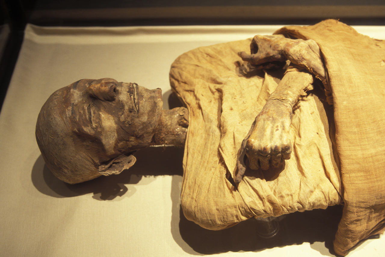 [IMAGE] If mummies had faces: Scientists use DNA to see how three ancient Egyptians looked