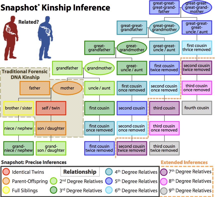 parabon announces major upgrade to snapshot forensic dna relatedness chart