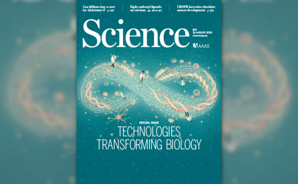 Cover Image from <i>Science</i> 31 Aug 2018: Vol. 361, Issue 6405