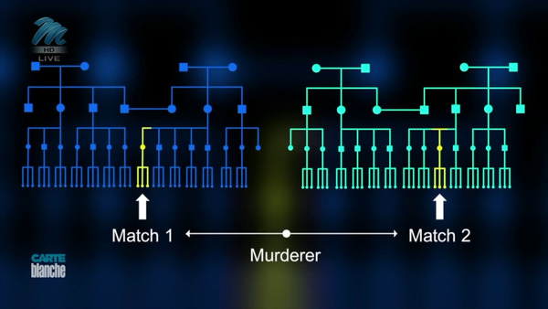 Graphic depicting two family trees — one for each of the subject's genetic matches